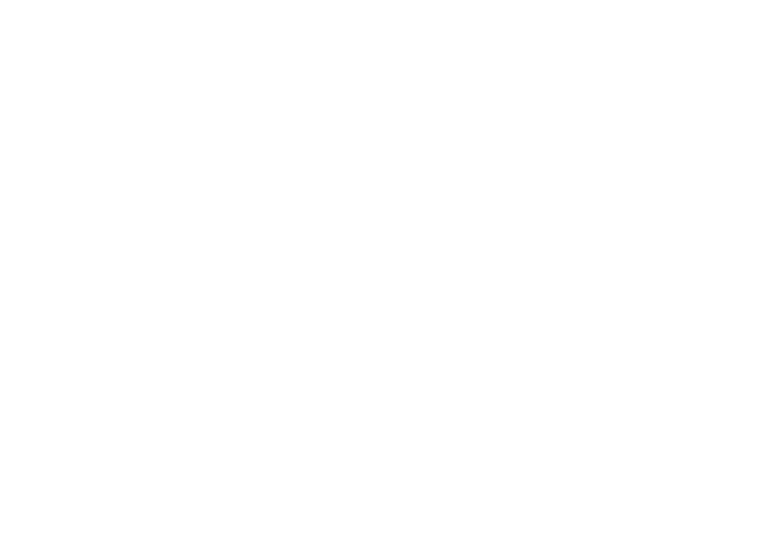 LSU One Hundred: Fastest Growing Tiger Businesses – 2026 Honoree