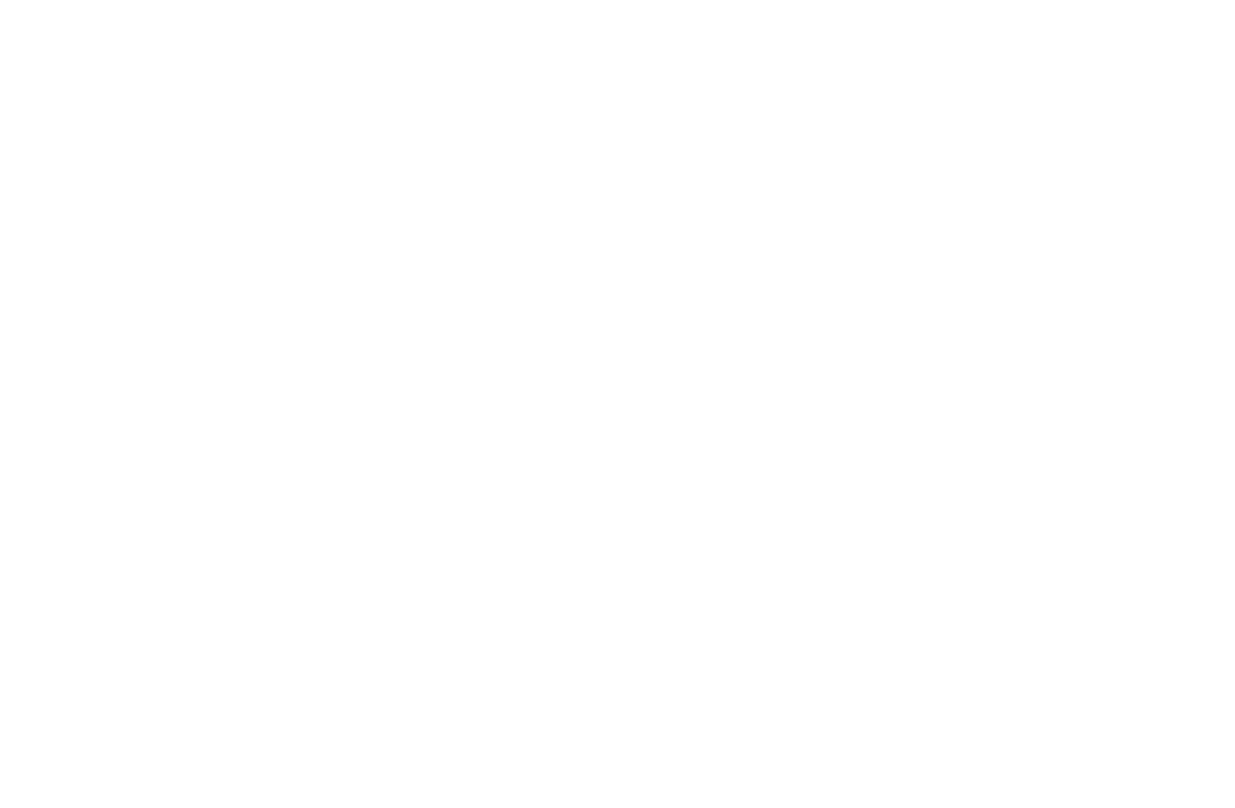 Pax8 Partner